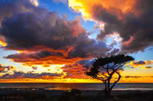 Carlsbad sunset-9705.jpg